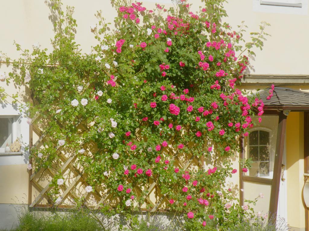 Am Lindenbaum Bed & Breakfast Sebnitz Bagian luar foto